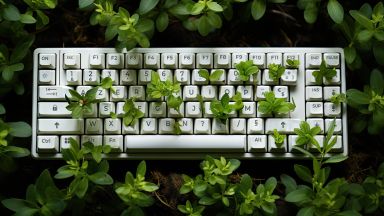 Clavier d'ordinateur dans de la végétation